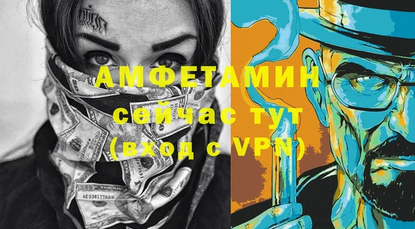 ГАЛЛЮЦИНОГЕННЫЕ ГРИБЫ Михайлов