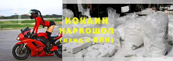 ГАЛЛЮЦИНОГЕННЫЕ ГРИБЫ Михайлов