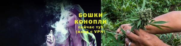 ГАЛЛЮЦИНОГЕННЫЕ ГРИБЫ Михайлов