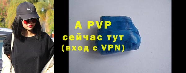 ГАЛЛЮЦИНОГЕННЫЕ ГРИБЫ Михайлов