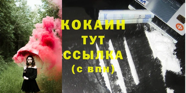 ГАЛЛЮЦИНОГЕННЫЕ ГРИБЫ Михайлов