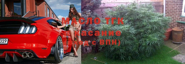 ГАЛЛЮЦИНОГЕННЫЕ ГРИБЫ Михайлов
