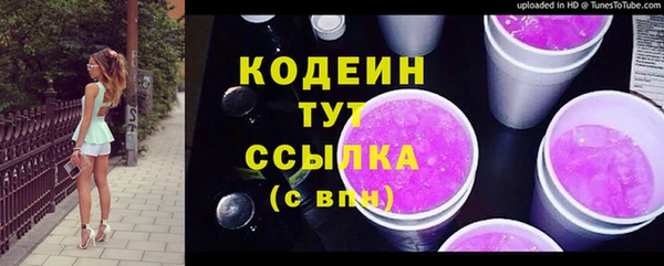 ГАЛЛЮЦИНОГЕННЫЕ ГРИБЫ Михайлов
