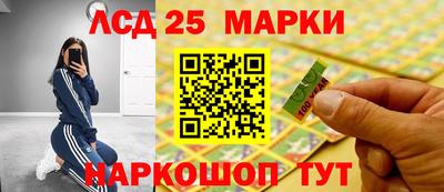 гидра Новозыбков