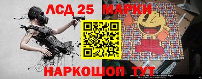 гидра Новозыбков