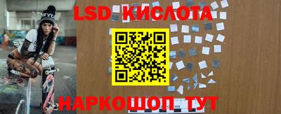 гидра Новозыбков