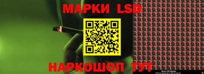 гидра Новозыбков