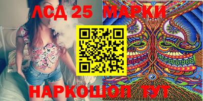 гидра Новозыбков