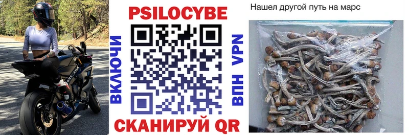 Галлюциногенные грибы Psilocybine cubensis  MEGA   Черняховск 