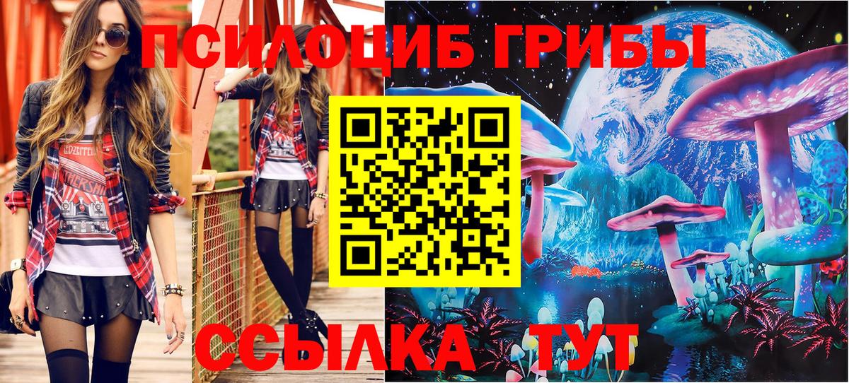 Псилоцибиновые грибы мухоморы Черняховск