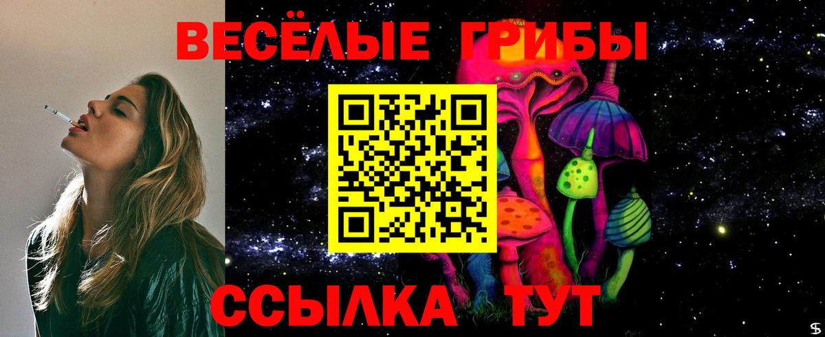 Псилоцибиновые грибы мухоморы  купить  цена  Черняховск  Вход с VPN 